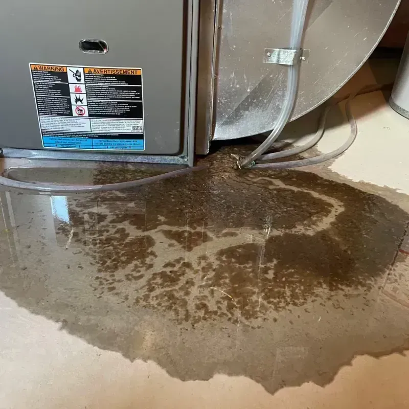 Appliance Leak Cleanup in Urbana, IL